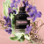 Valentino Born in Roma Uomo 50ml Eau de Toilette Gift Set