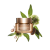 Clarins Extra-Firming Day Cream All Skin Types 50ml