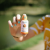 Feel Good Superfoods Orange Immune Support Shot 57ml
