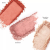 Benefit Cheek Party Package Palette